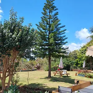  Apartamento Viewpoint Machico - Lovely Nature View Portugal